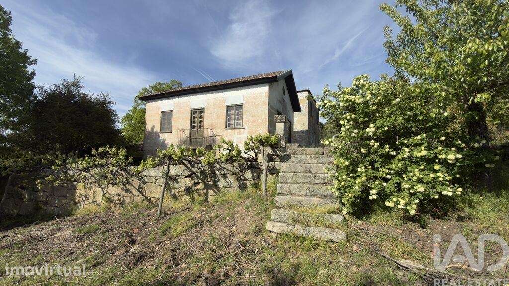 Quinta rural T4 em Longa de 99999 m2 - Grande imagem: 5/40