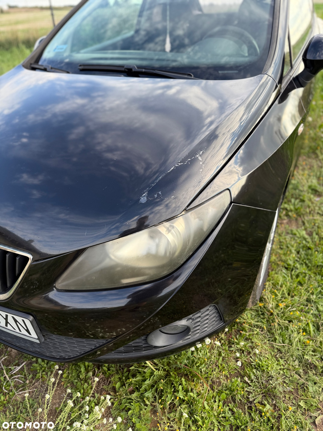 Seat Ibiza - 10