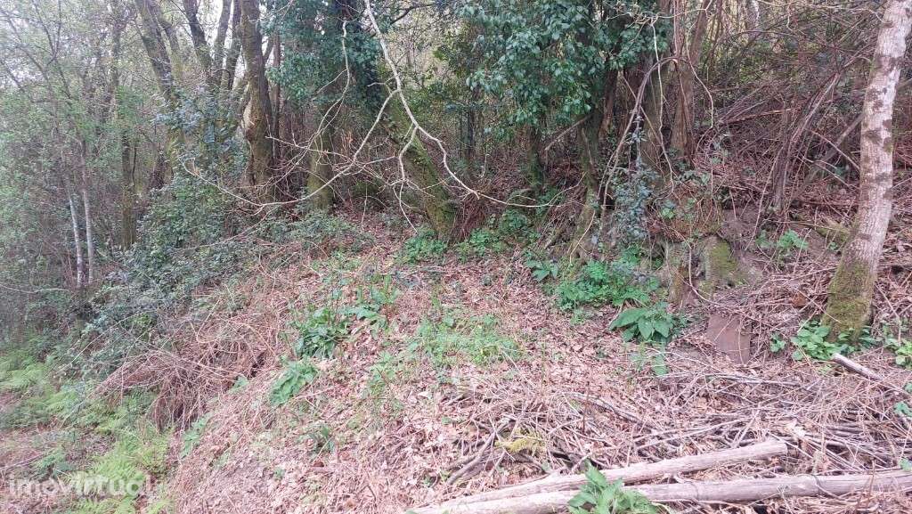 Terreno - Caldelas - Grande imagem: 3/16