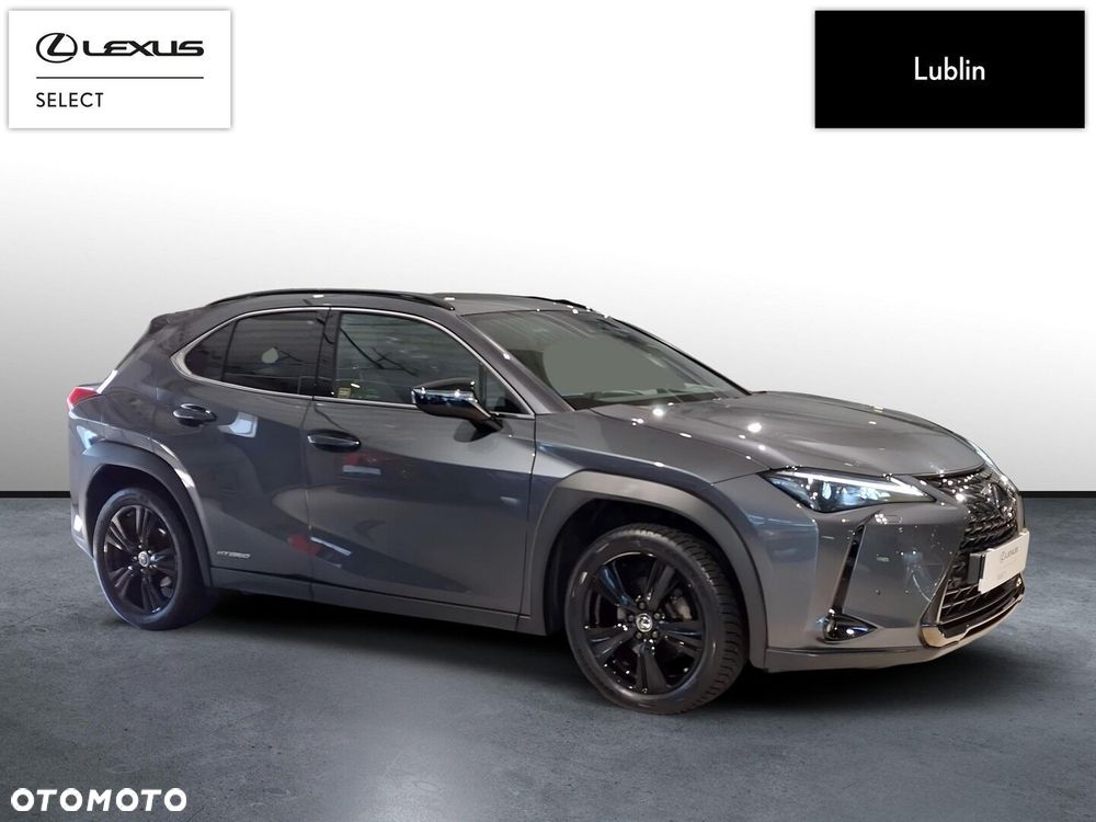 Lexus UX - 7