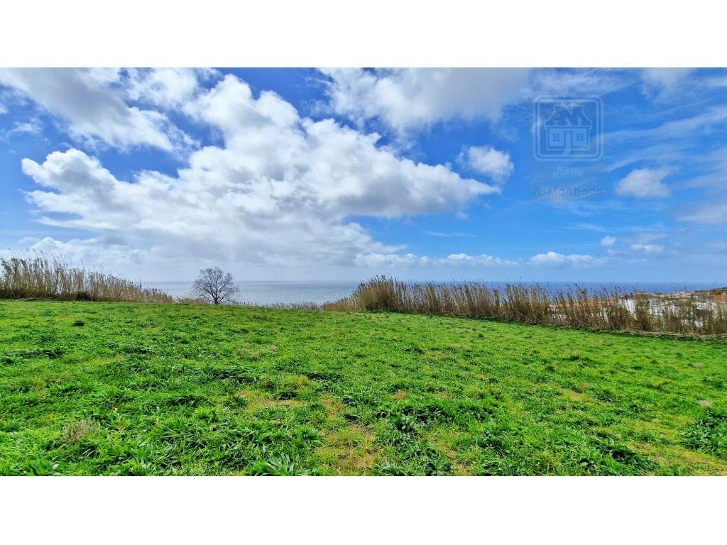 VENDA de PRÉDIO/TERRENO RÚSTICO - Feteiras, Ponta Delgada, Ilha de ... - Grande imagem: 3/29