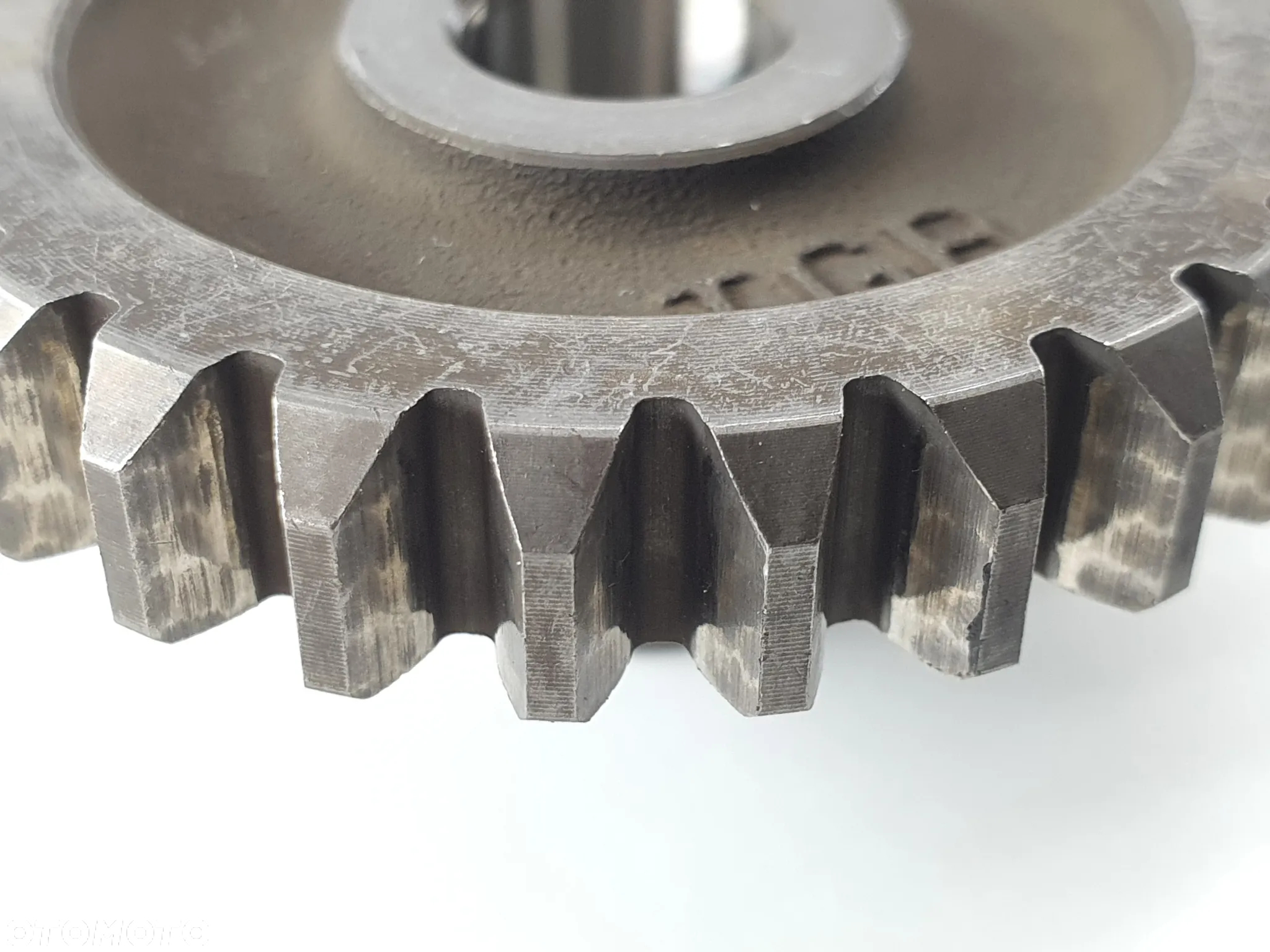 TRYB ZEBATKA KOLO ZEBATE   TGB BLADE 550 - 2