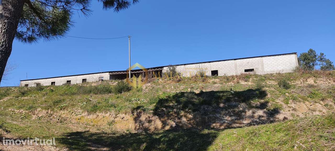 Quinta T5 em Baião para diversas atividades - Grande imagem: 3/22