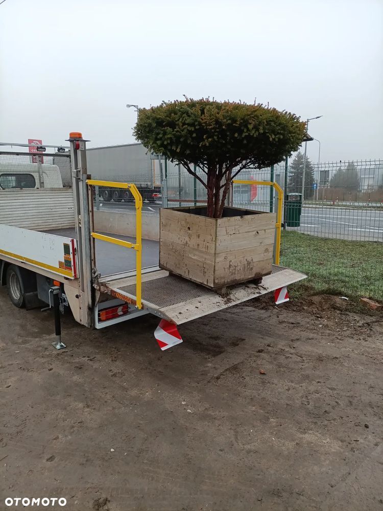 Nissan Cabstar - 4
