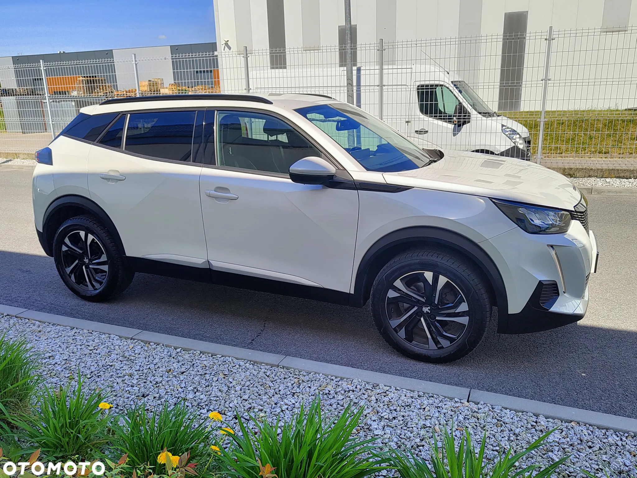 Peugeot 2008 1.5 BlueHDi Allure S&S EAT8 - 3