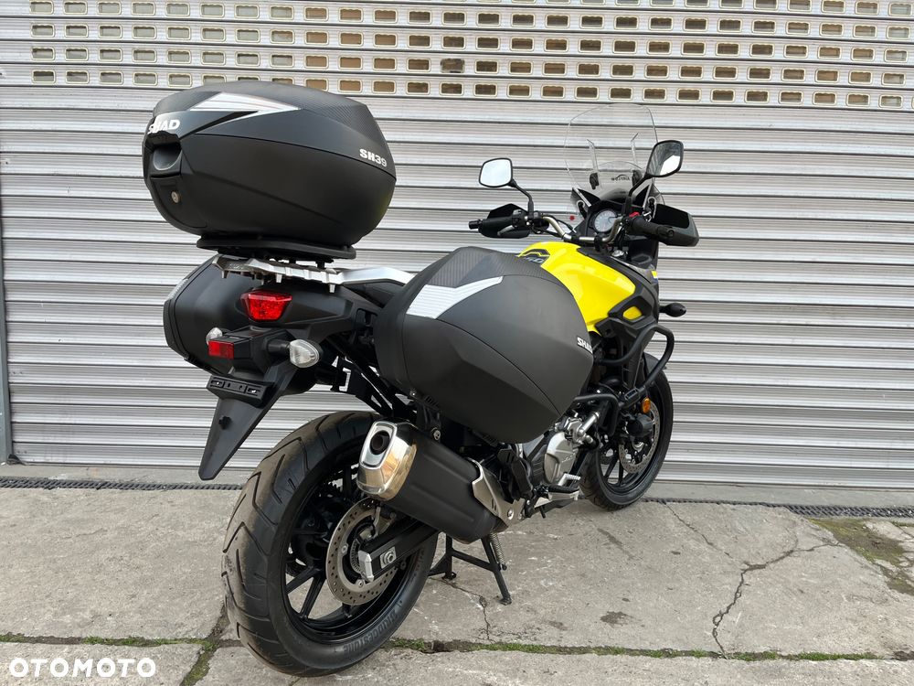 Suzuki DL - 24