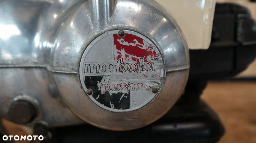 Benelli Inny - 7