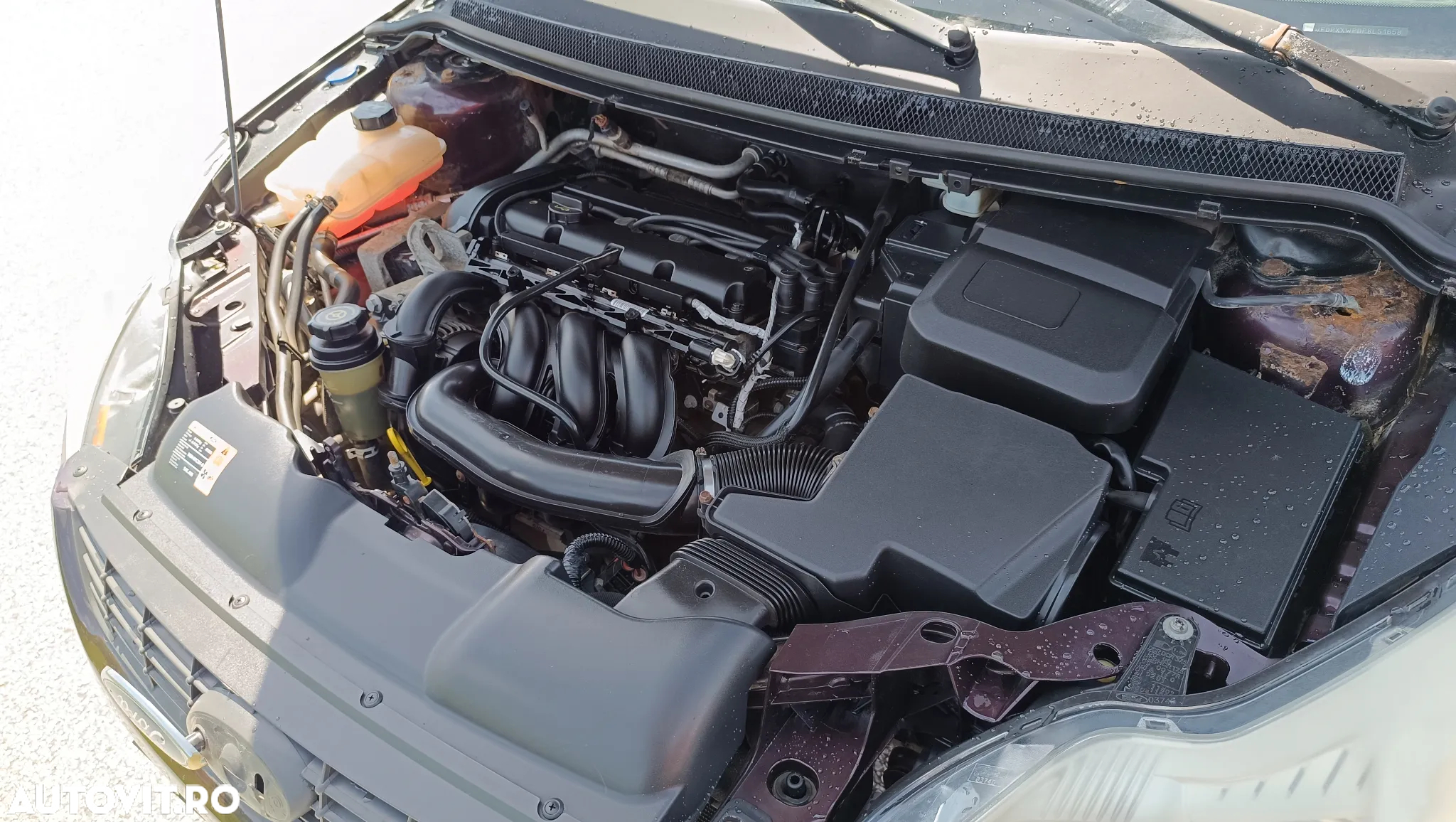 Ford Focus 1.6 Ambiente - 10
