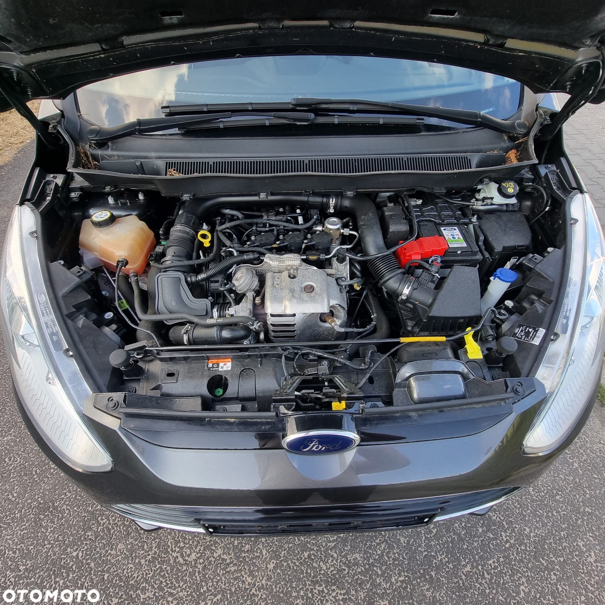 Ford B-MAX 1.0 EcoBoost Titanium X EU6 - 10