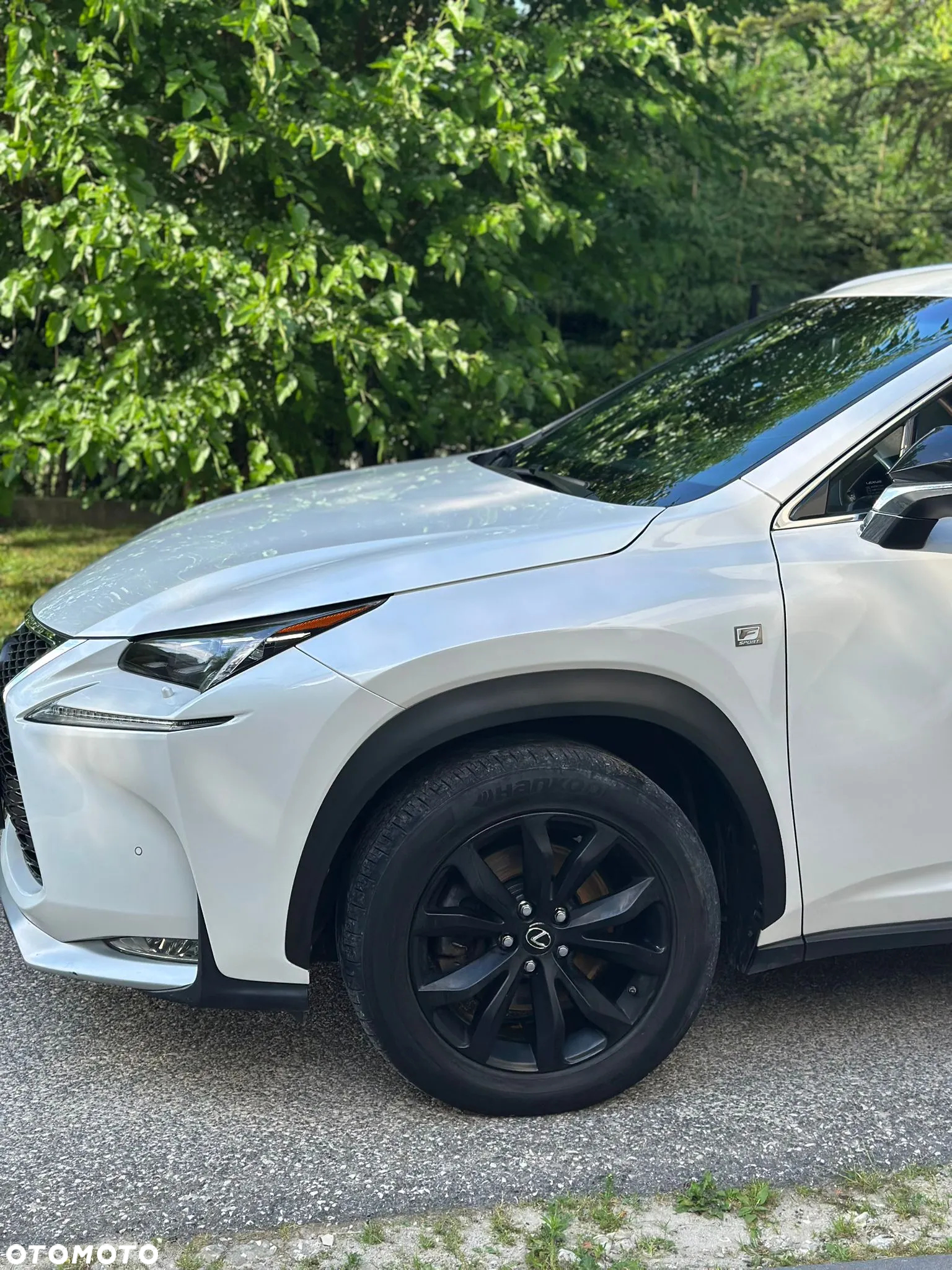 Lexus NX 300h - 5