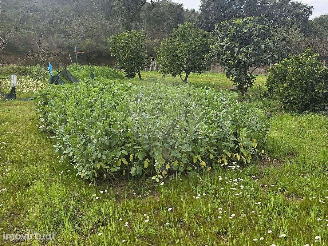 Terreno  para venda - Grande imagem: 4/12