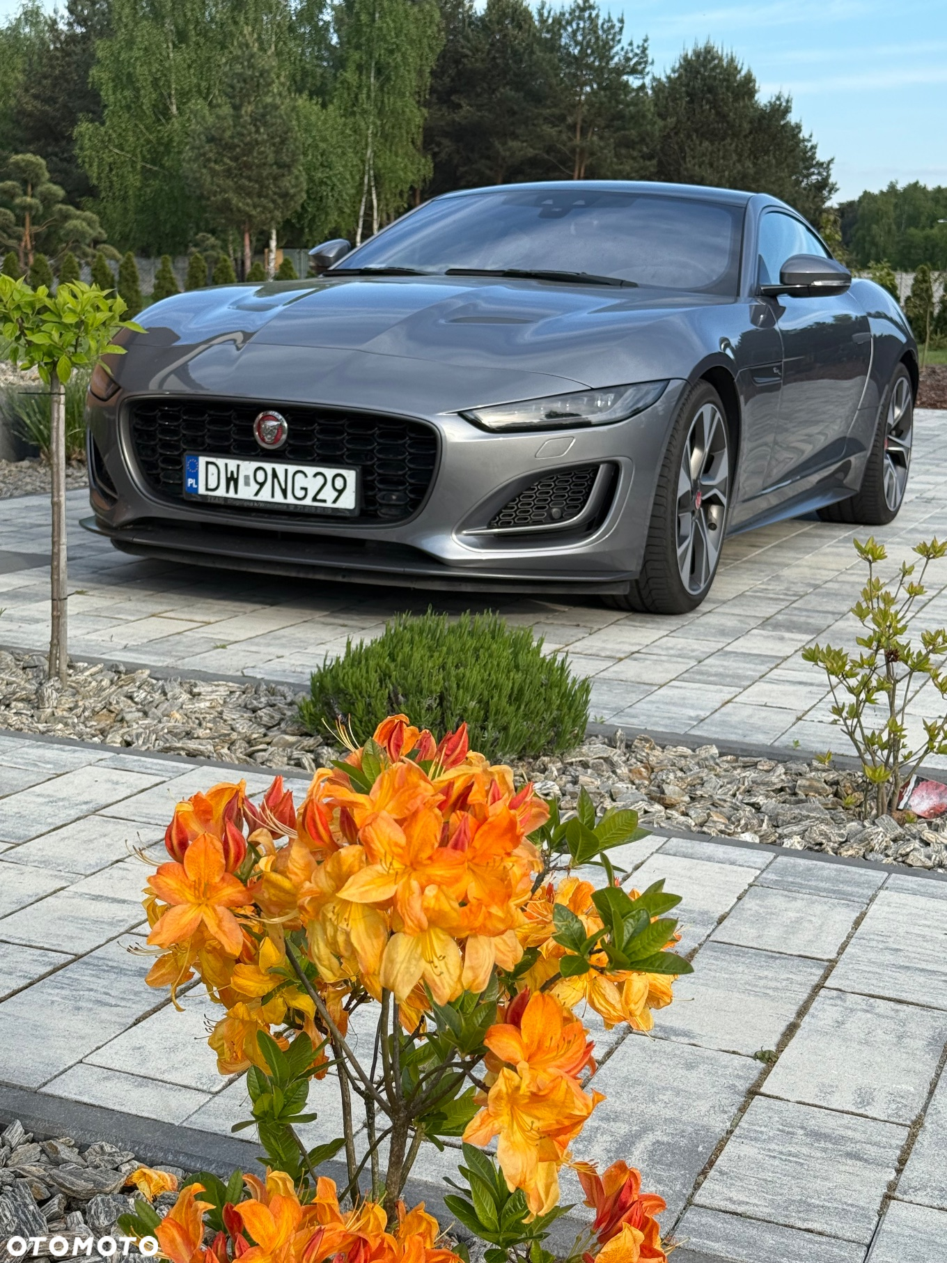 Jaguar F-Type 2.0 Turbo First Edition - 3