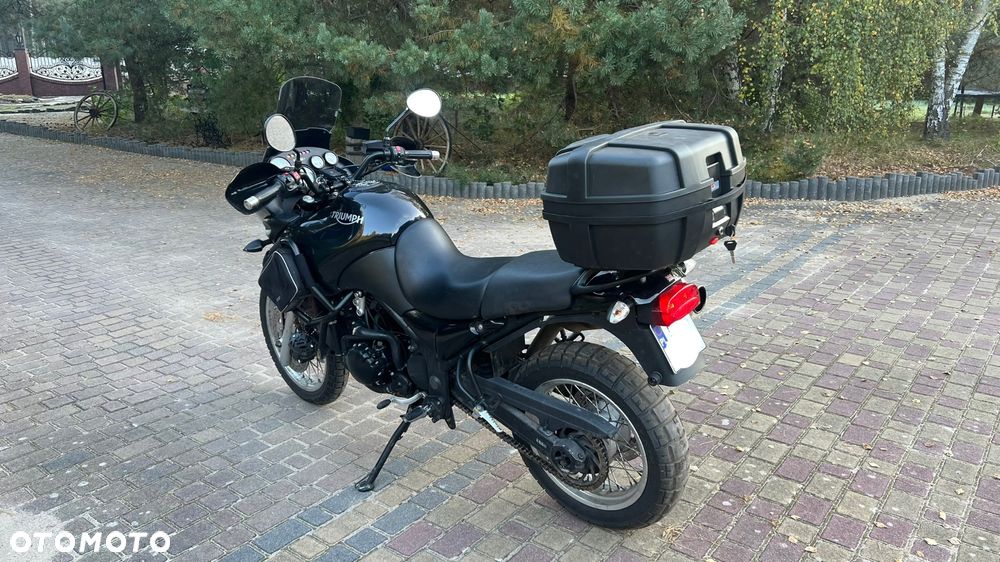 Triumph Tiger - 6