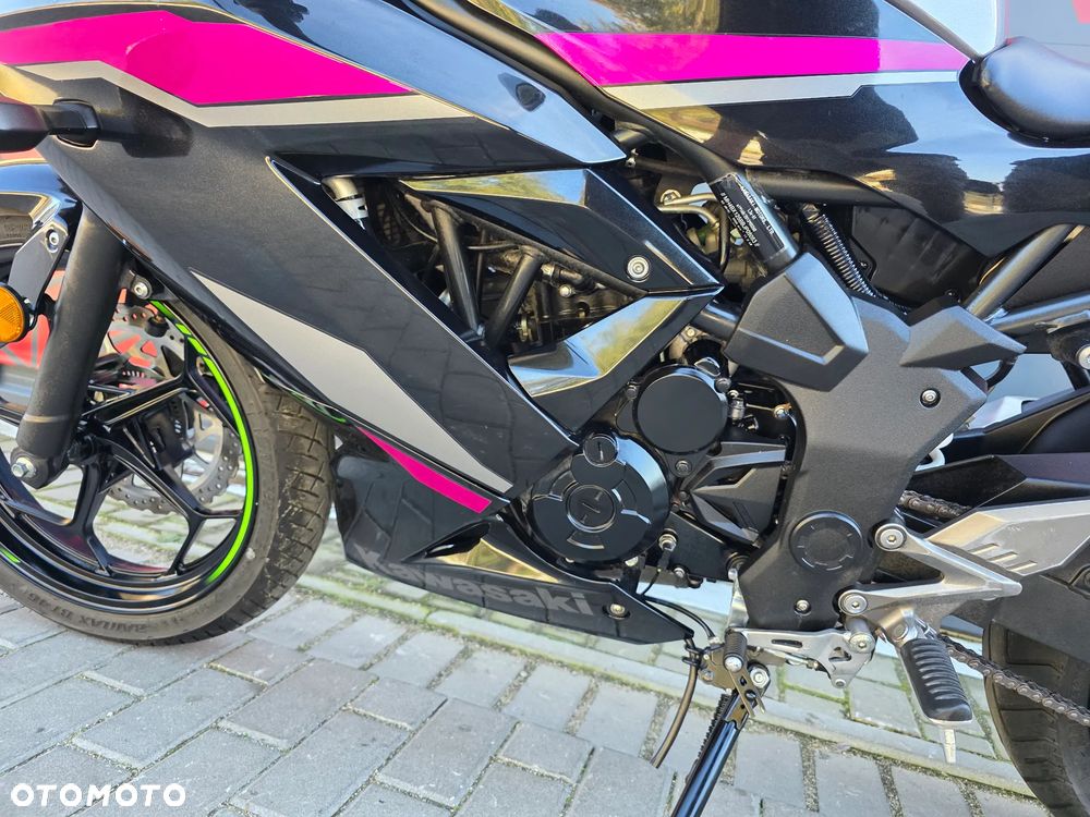 Kawasaki Ninja - 11