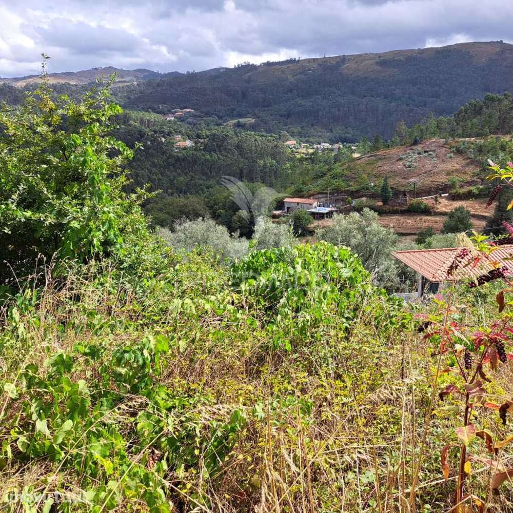 Terreno c/projeto aprovado de vivenda c/pisicina - Grande imagem: 2/9