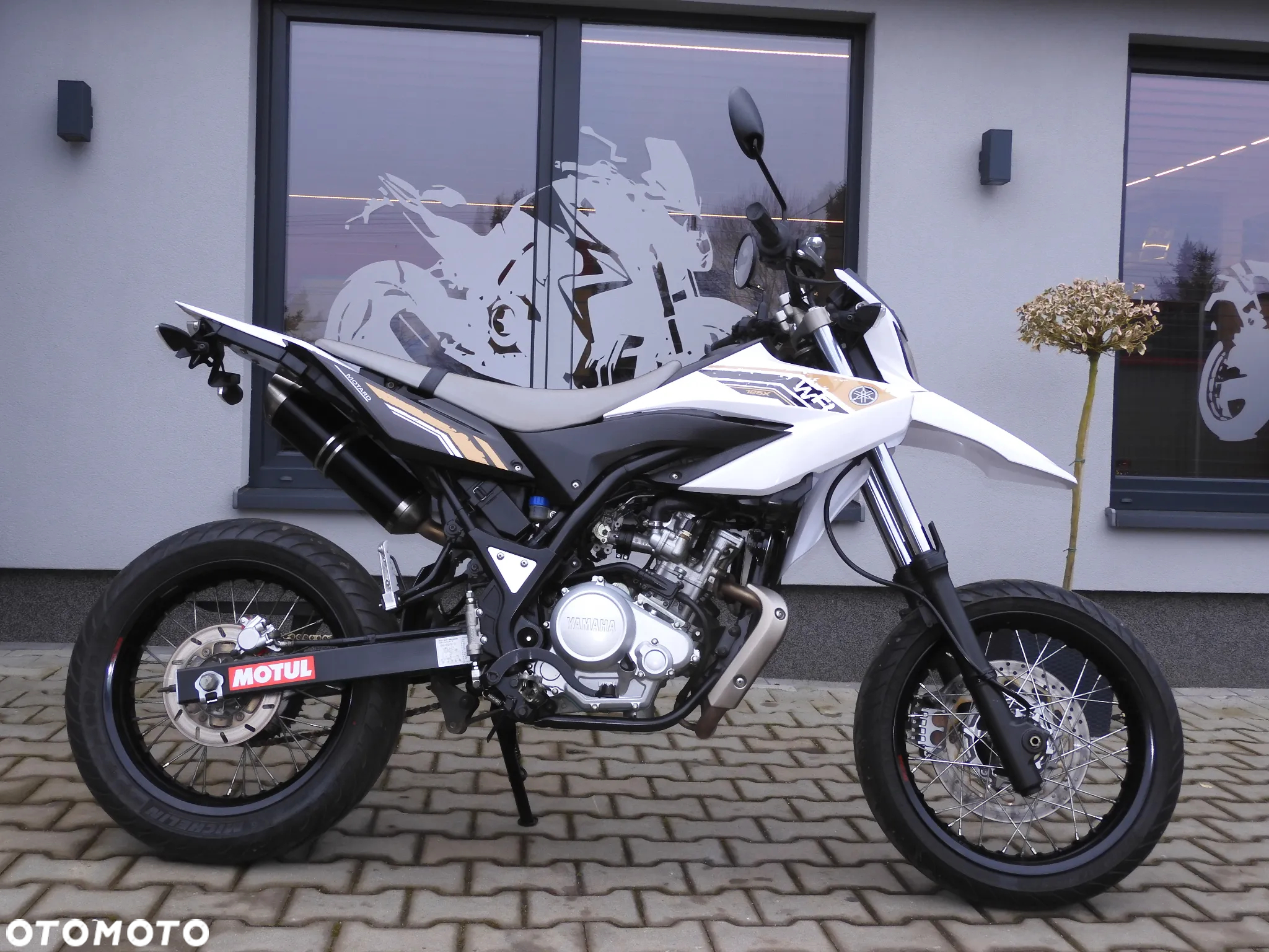 Yamaha WR - 17