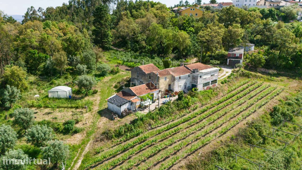 Quinta com 8 hectares com potencial para construção – Antanhol - Coimb - Grande imagem: 5/19