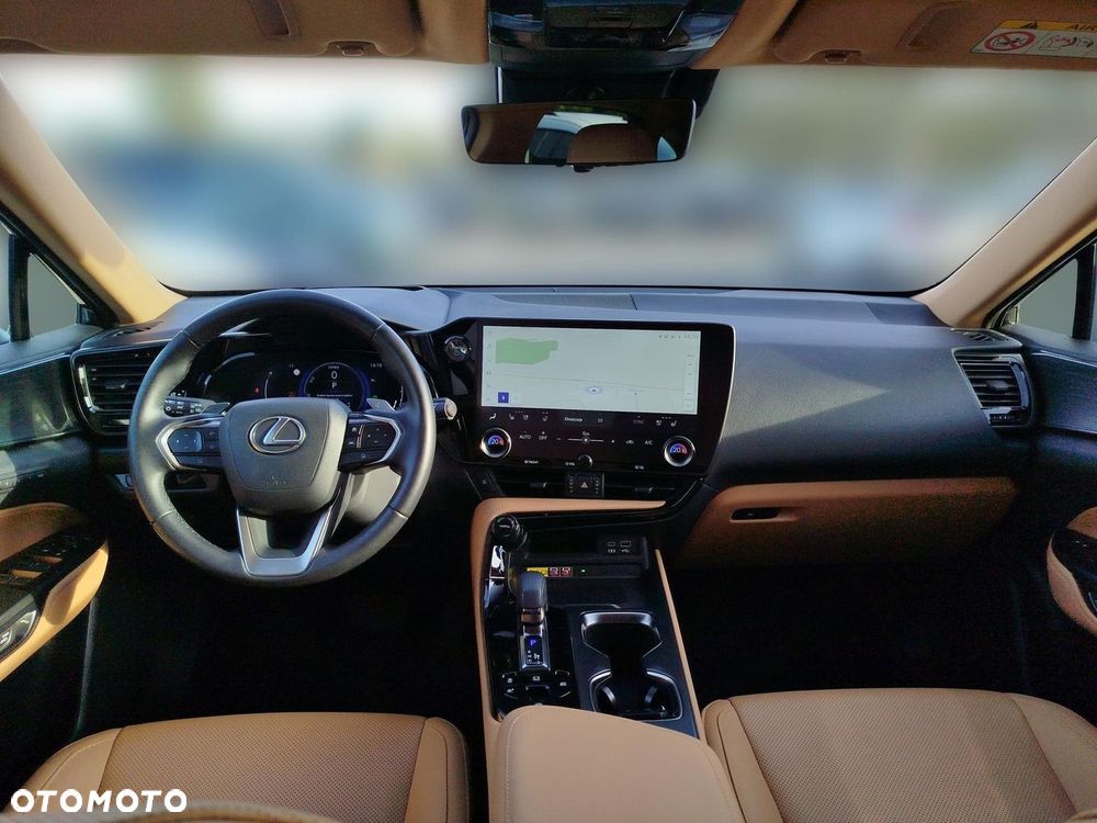 Lexus NX - 13