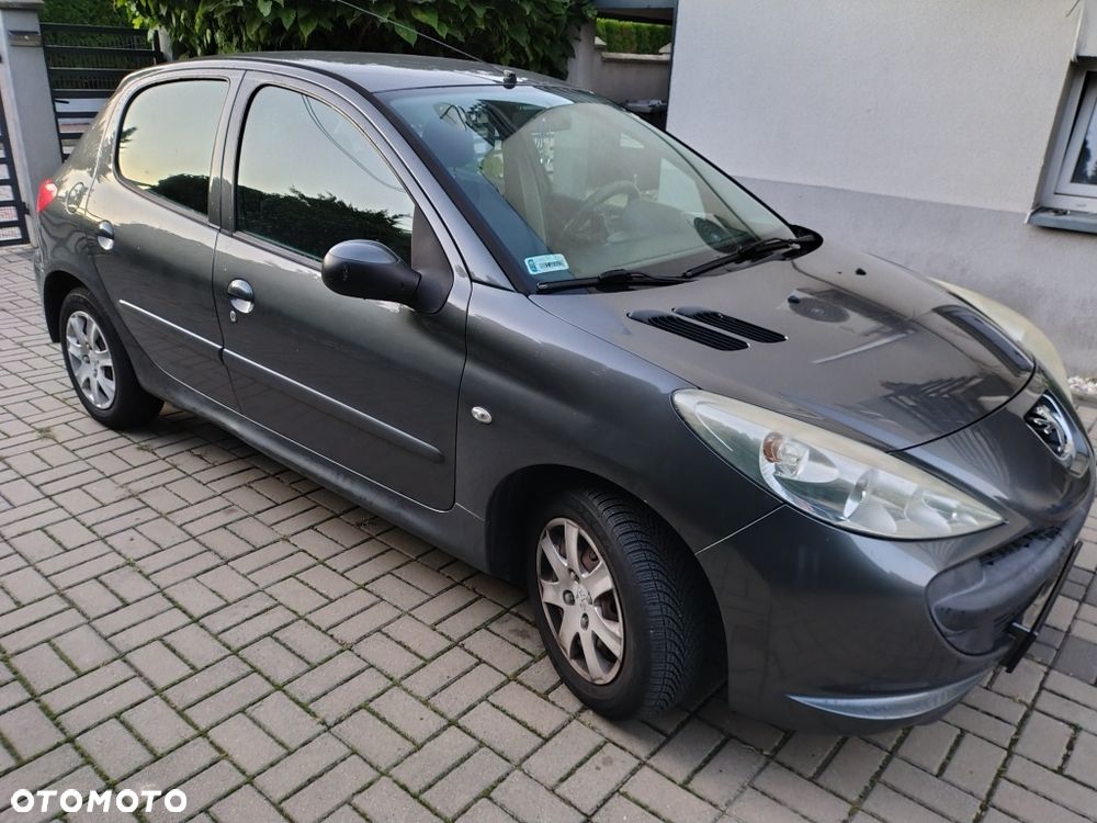 Peugeot 206 plus - 1