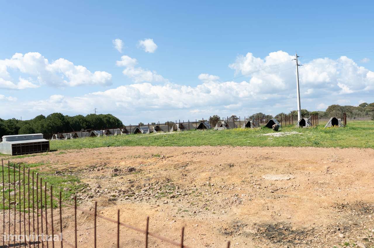 Herdade da Mancha – Ativo Rural de Grande Escala com 149 Hectares no A - Grande imagem: 2/13