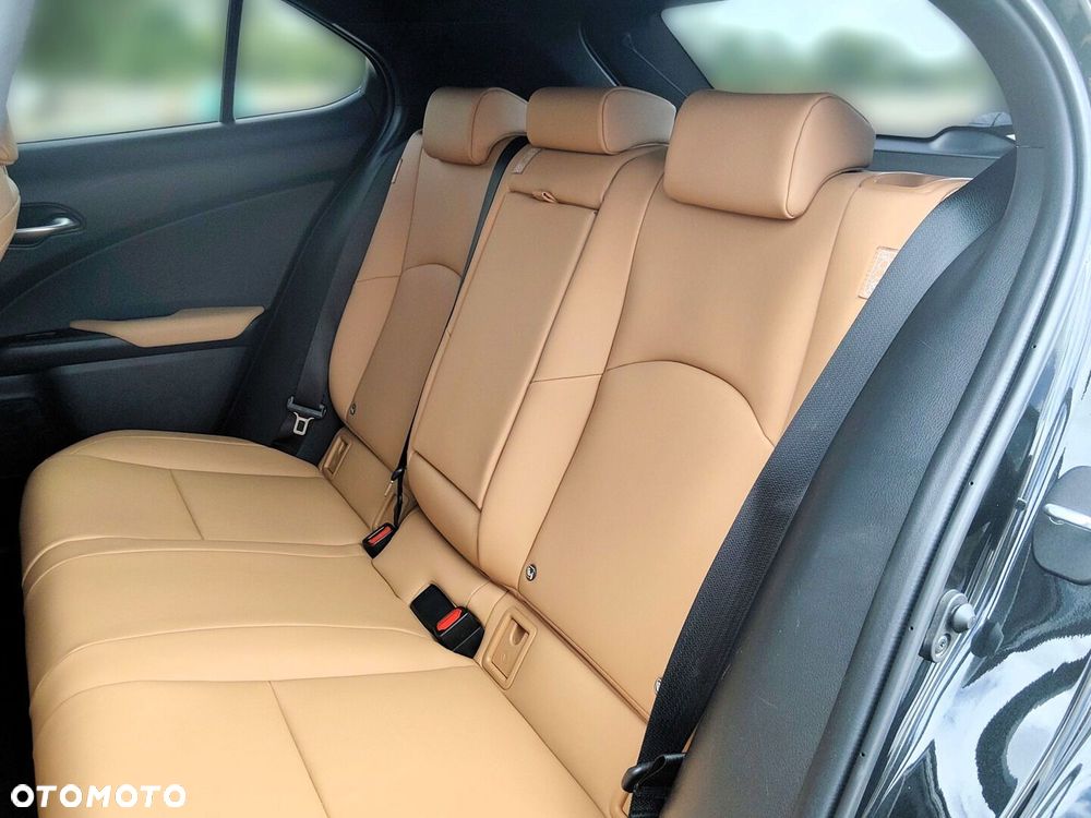 Lexus UX 250h GPF F Sport Design 2WD - 13