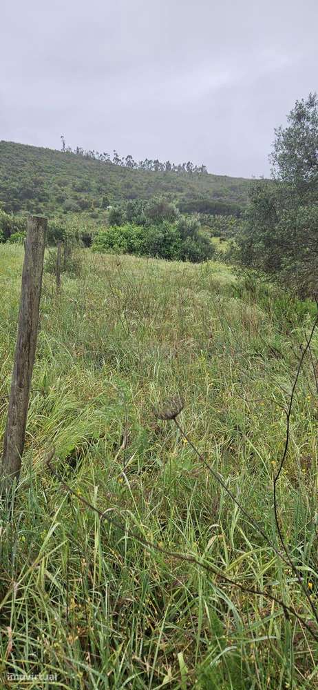 Terreno rústico com 2.750 m² (0,275 ha), localizado na zona de Canafec - Grande imagem: 2/8