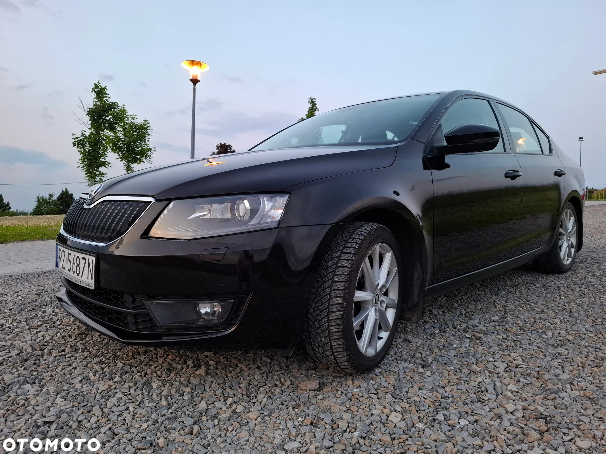 Skoda Octavia 2.0 TDI Elegance - 2