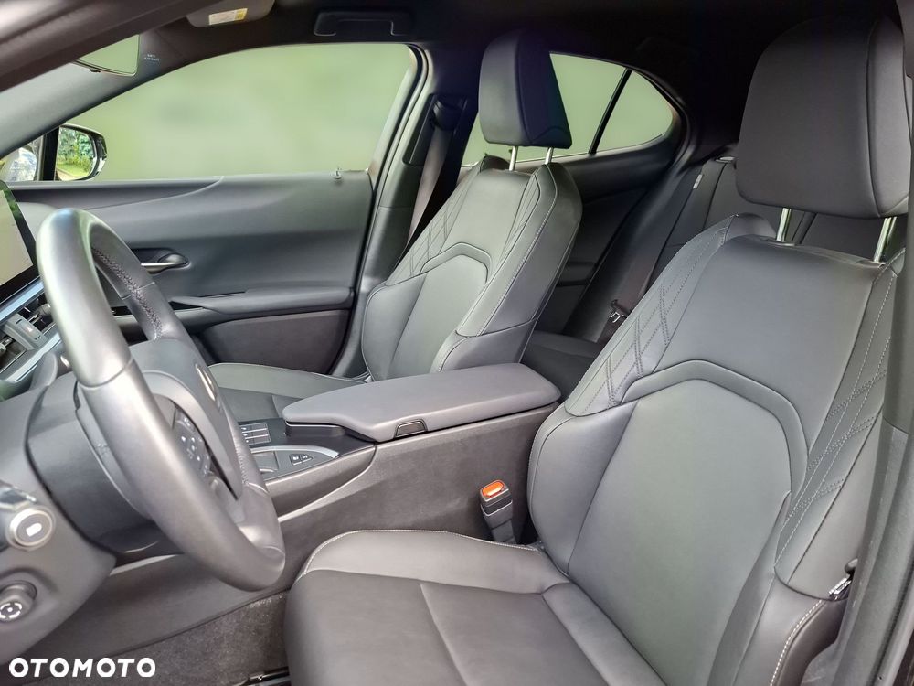 Lexus UX 250h GPF F Sport Design 2WD - 10