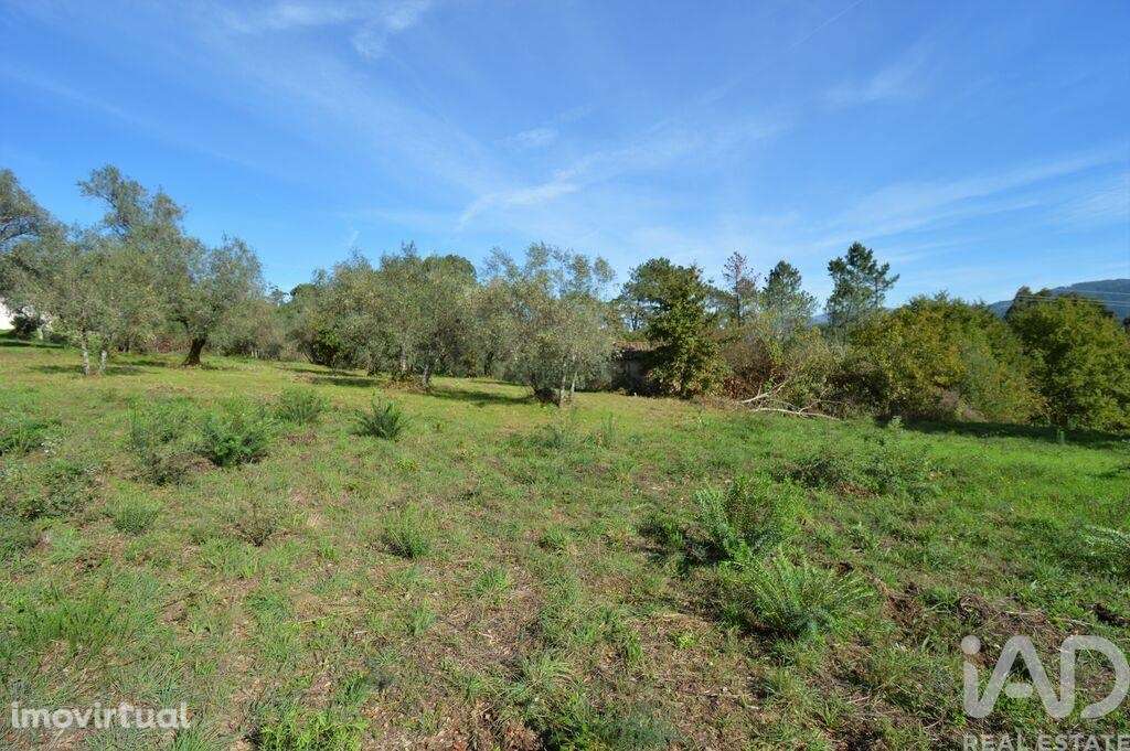 Casa / Villa em Miranda do Corvo de 102,00 m2 - Grande imagem: 3/10