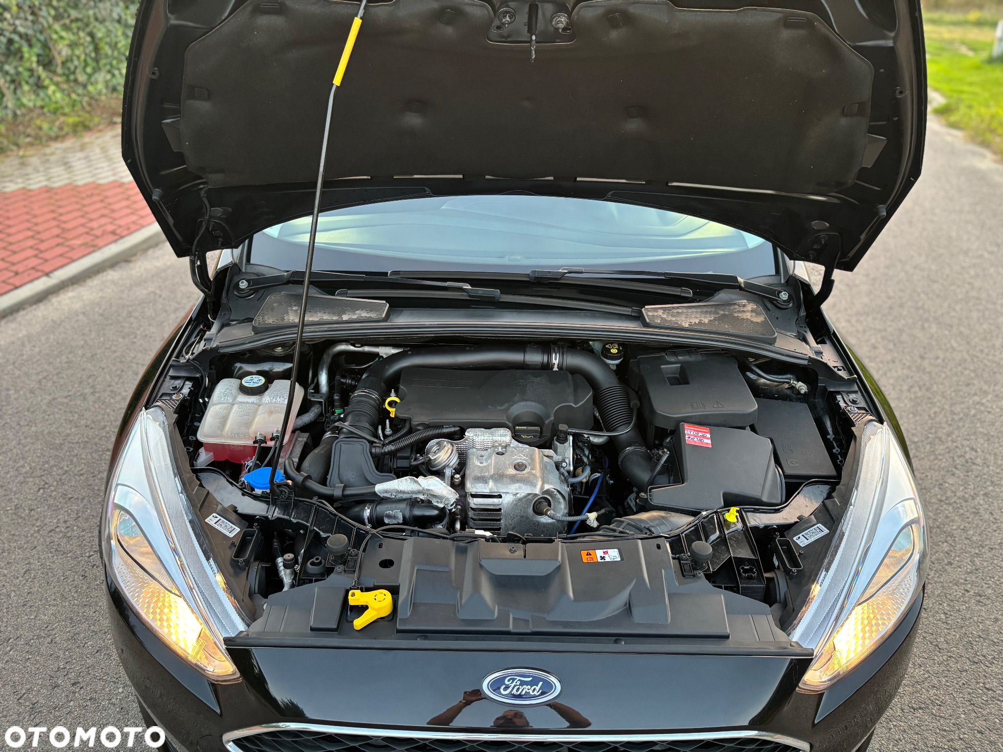 Ford Focus - 13