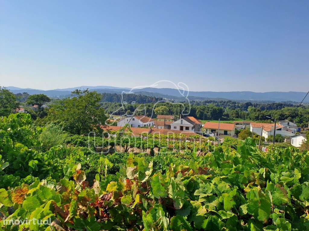 Terreno Urbanizável Gondarém - Grande imagem: 5/16