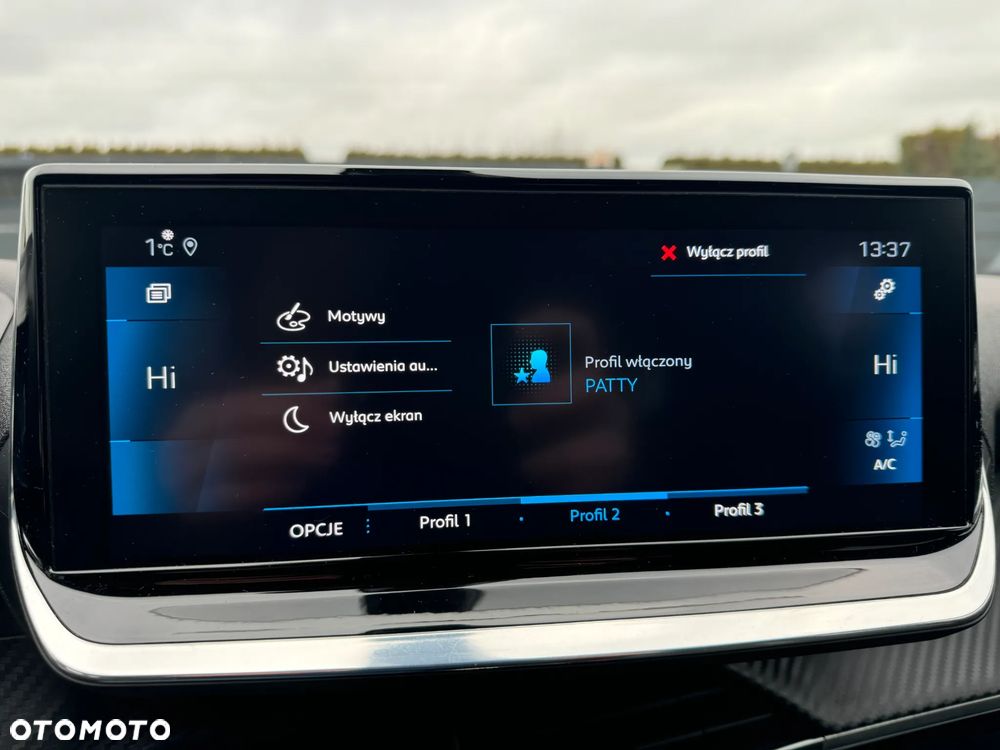 Peugeot 2008 - 20