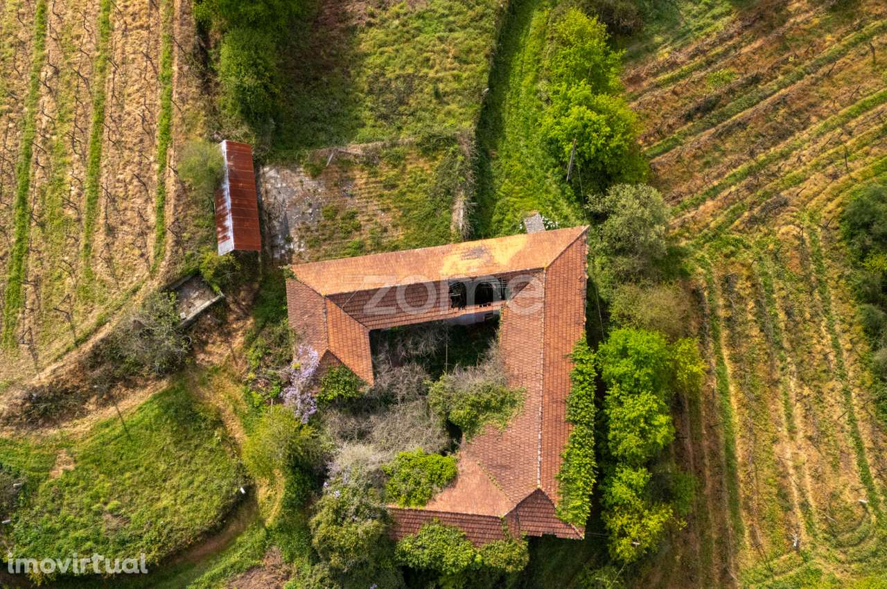 Quinta com 8 Hectares de terreno, em Sobrosa, Paredes - Grande imagem: 4/15