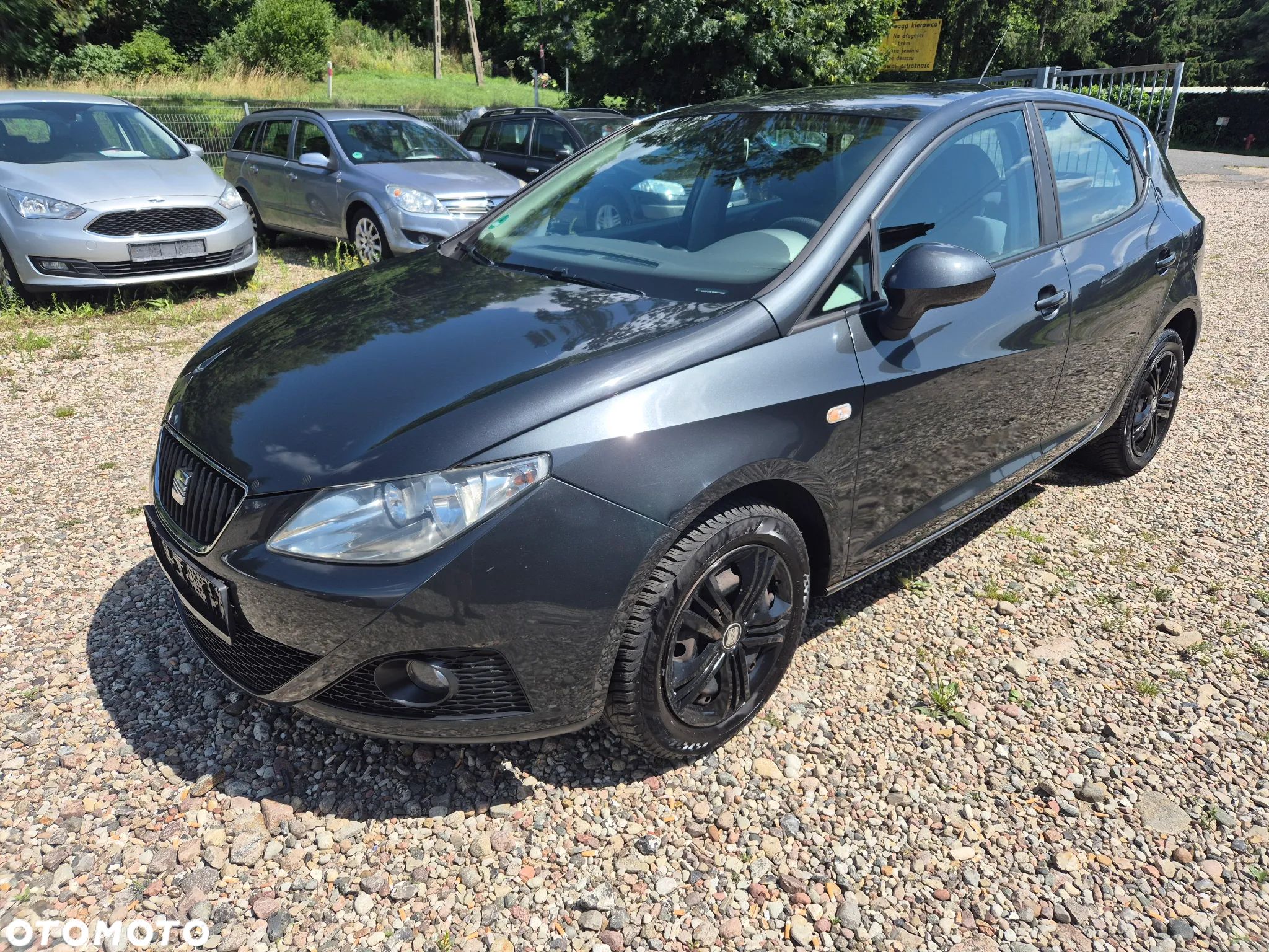 Seat Ibiza - 1