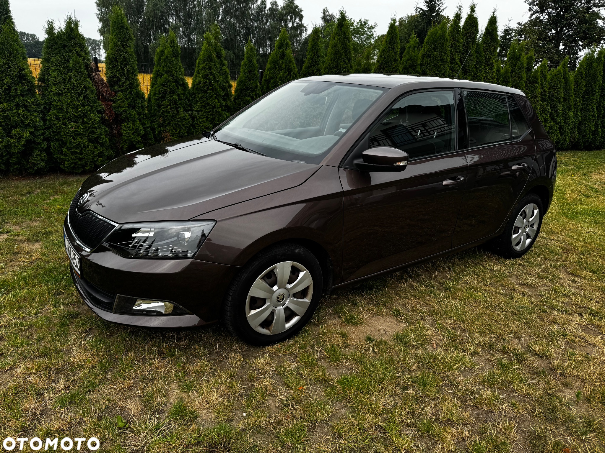 Skoda Fabia 1.2 TSI DSG Ambition - 2
