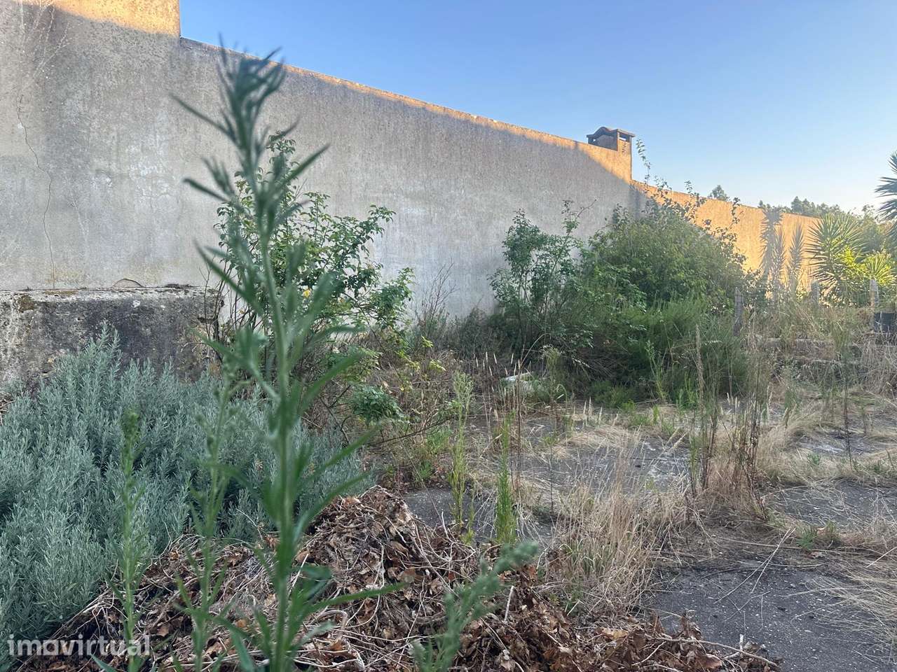 Moradia T3 Isolada com Jardim em Murtosa - Grande imagem: 3/4