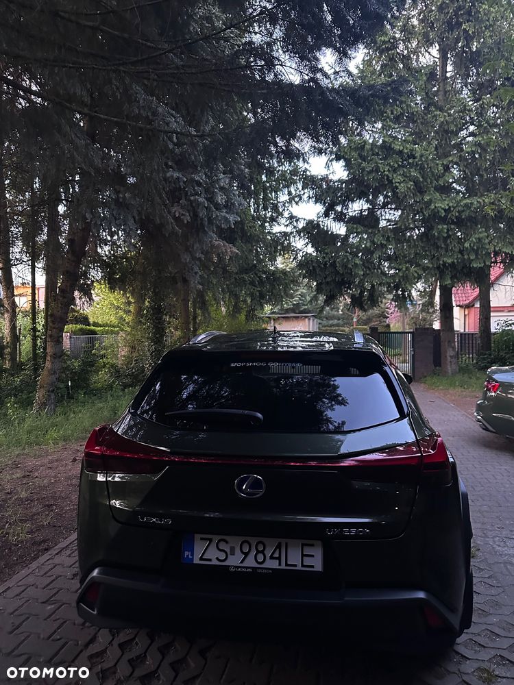 Lexus UX 200 Prestige 2WD - 7