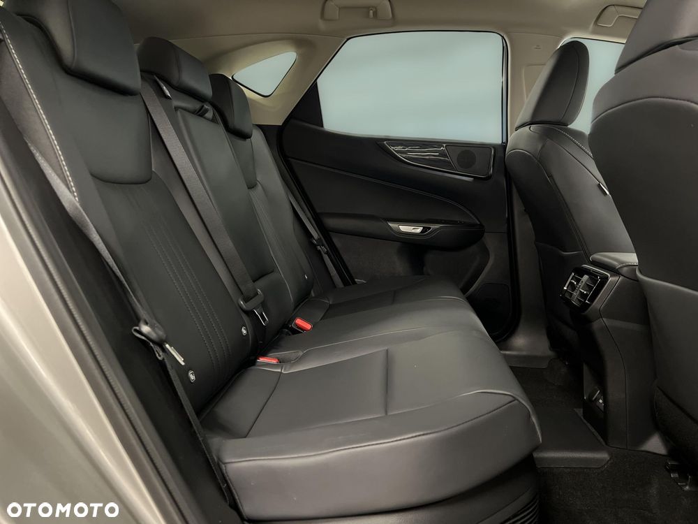 Lexus NX - 13