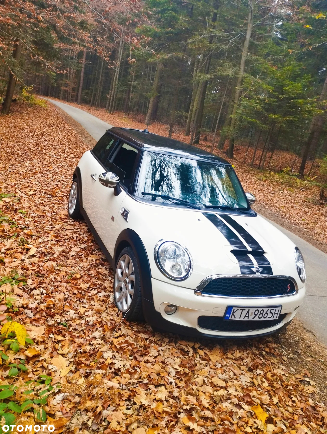 MINI Cooper S Standard - 16