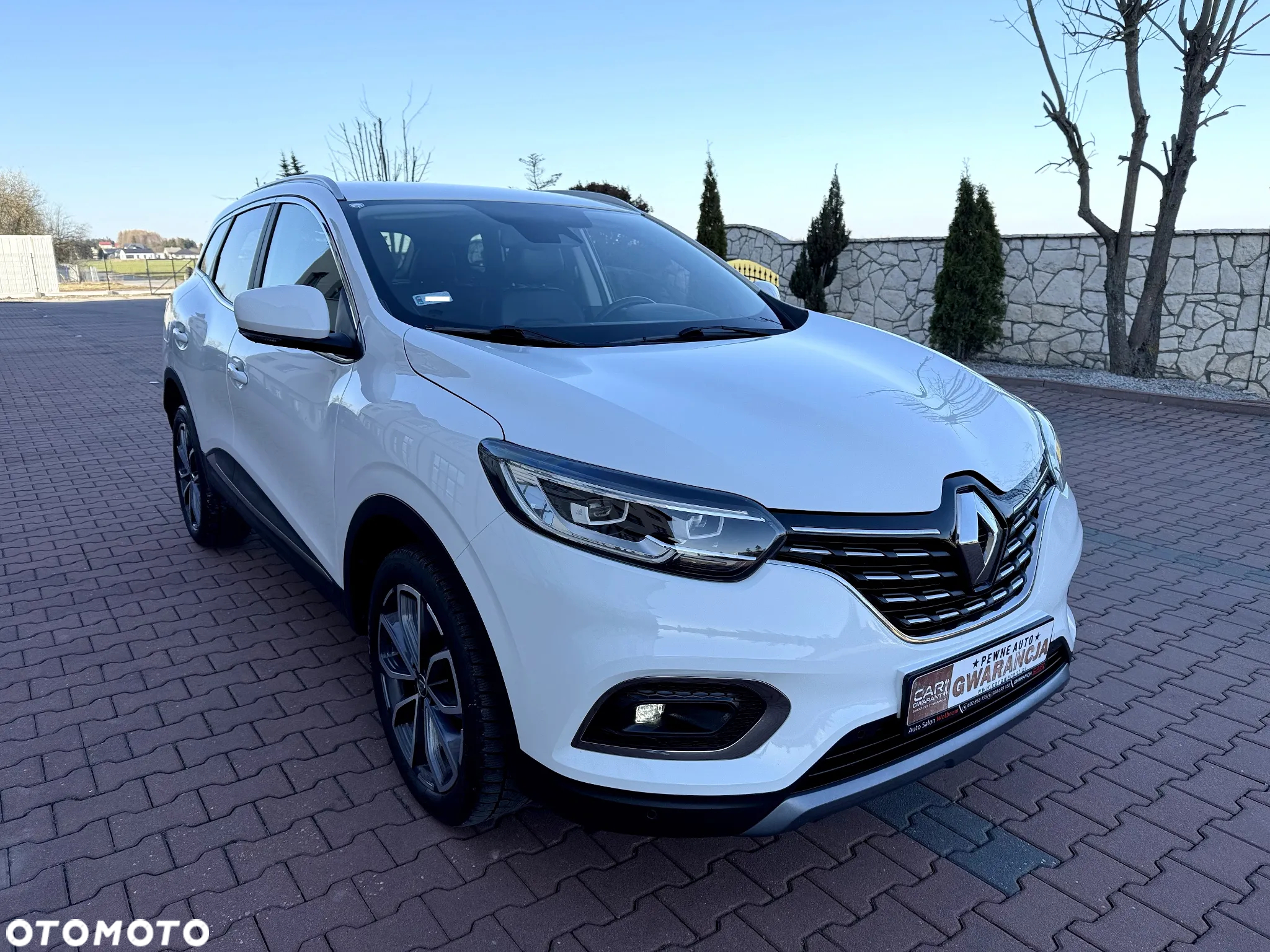 Renault Kadjar 1.7 Blue dCi Intens 4x4 - 39