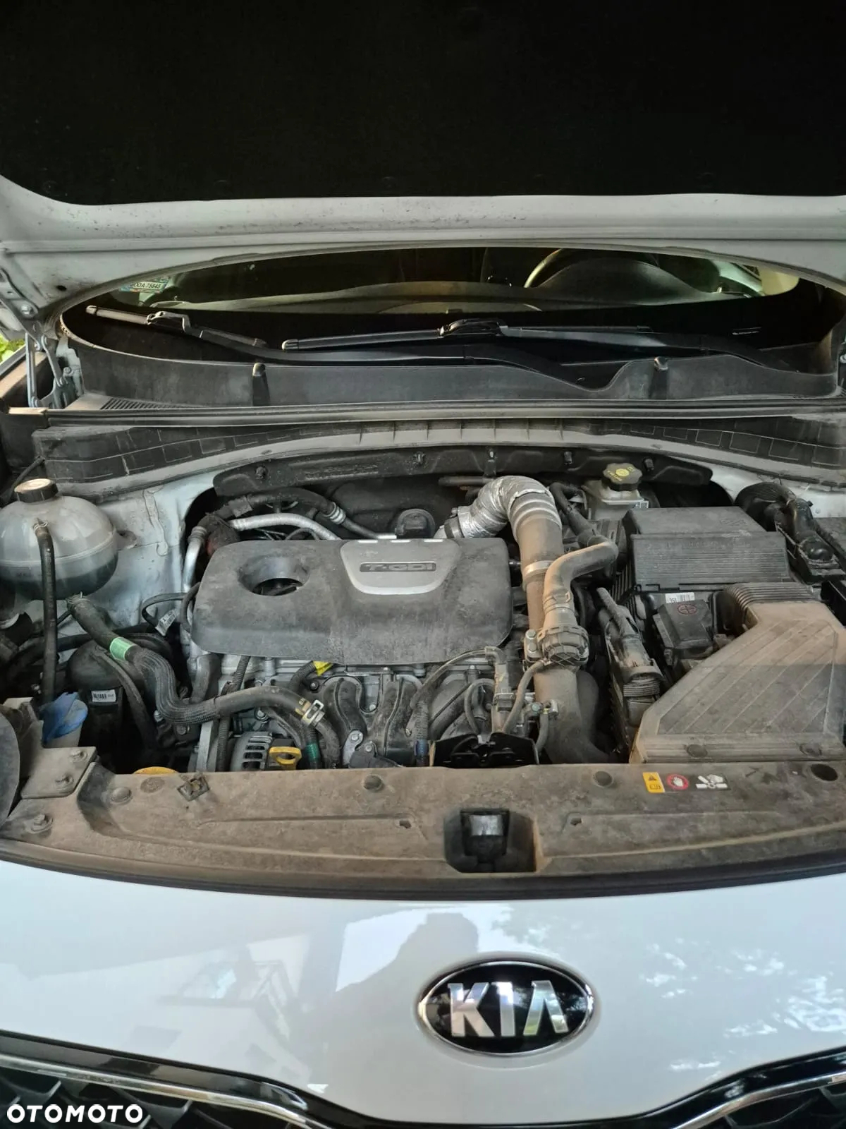 Kia Sportage 1.6 T-GDI L 2WD DCT - 12