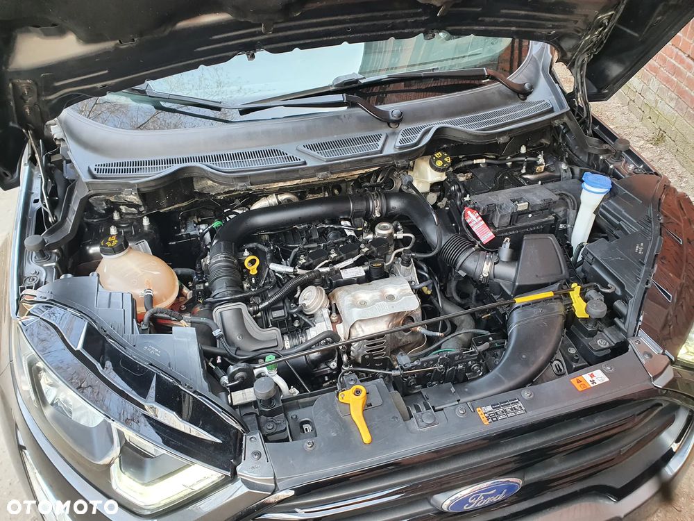 Ford EcoSport 1.0 EcoBoost ST-LINE - 25