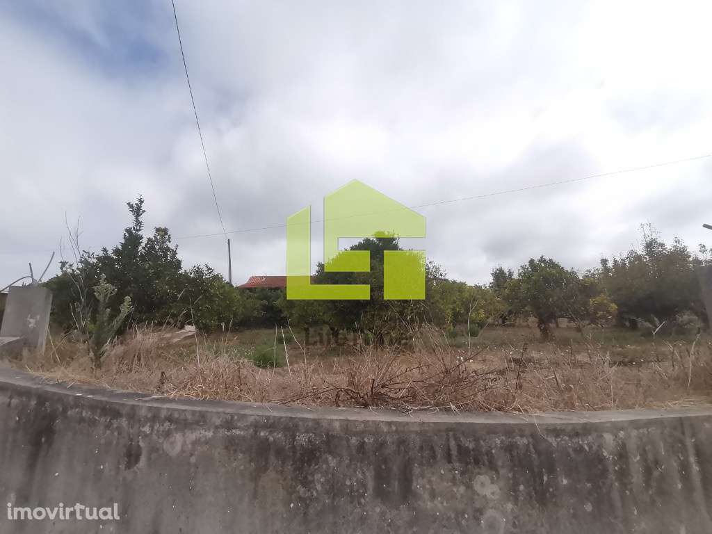 Quinta em Soure - Grande imagem: 3/13