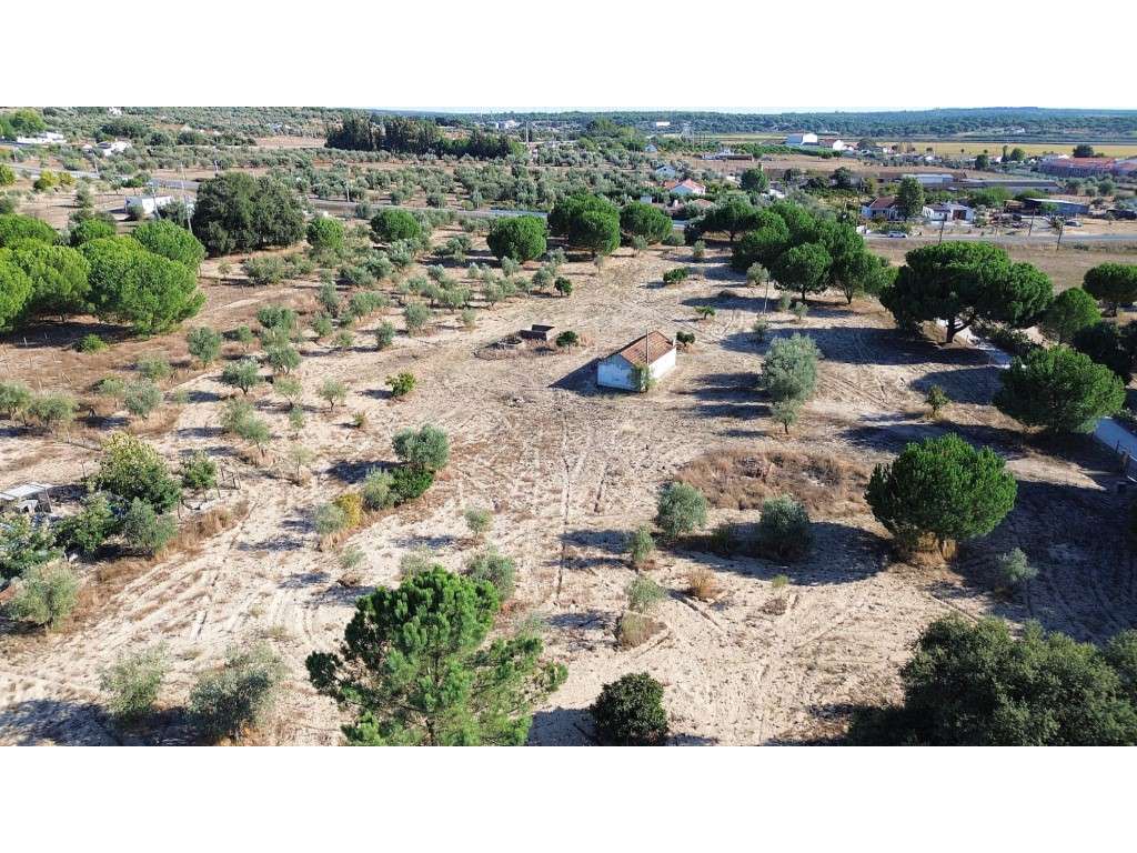 Terreno com Projeto Turístico Aprovado em Alcácer do Sal - Grande imagem: 2/8