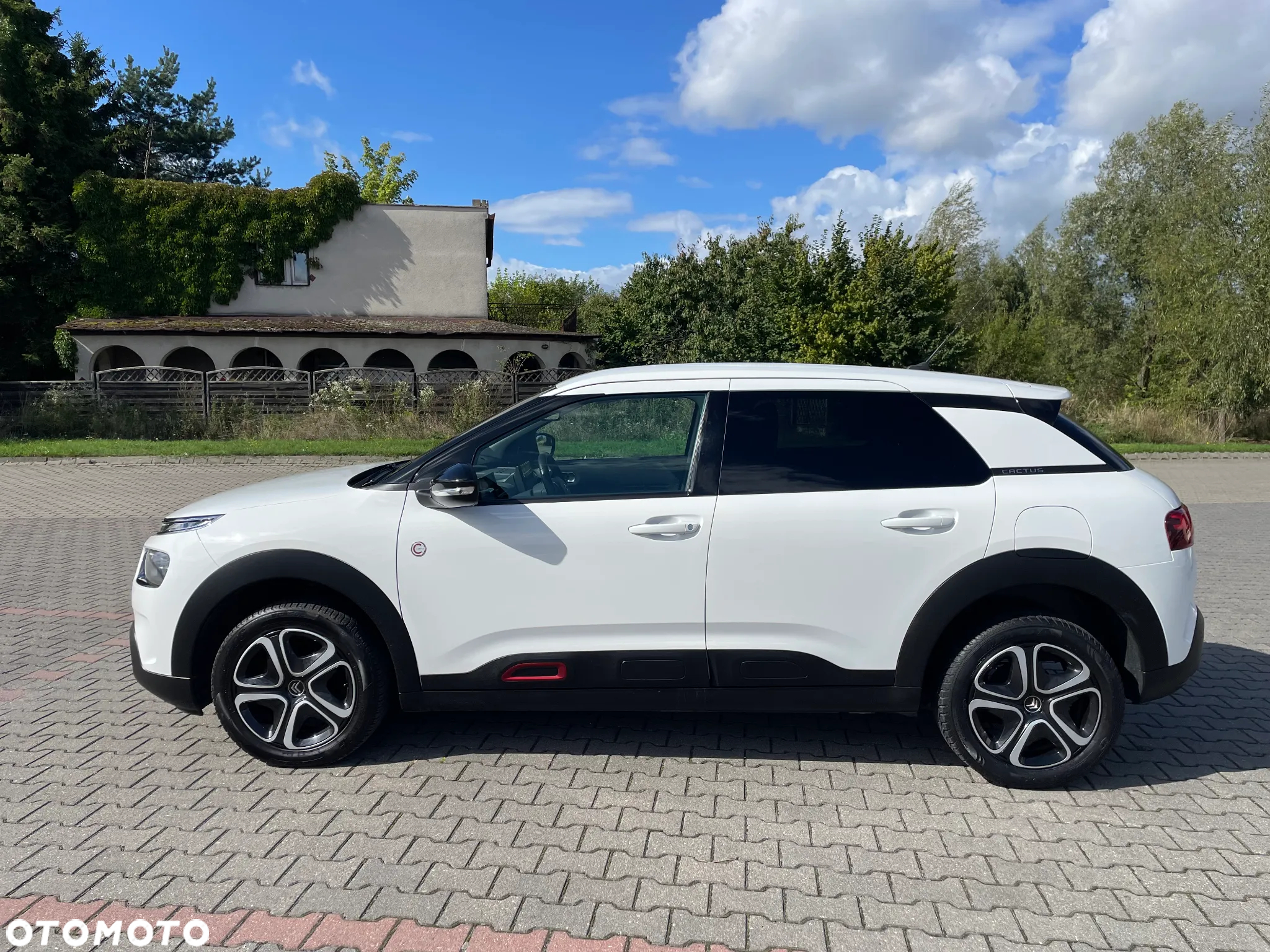 Citroën C4 Cactus PureTech 110 Stop&Start C-SERIES - 3