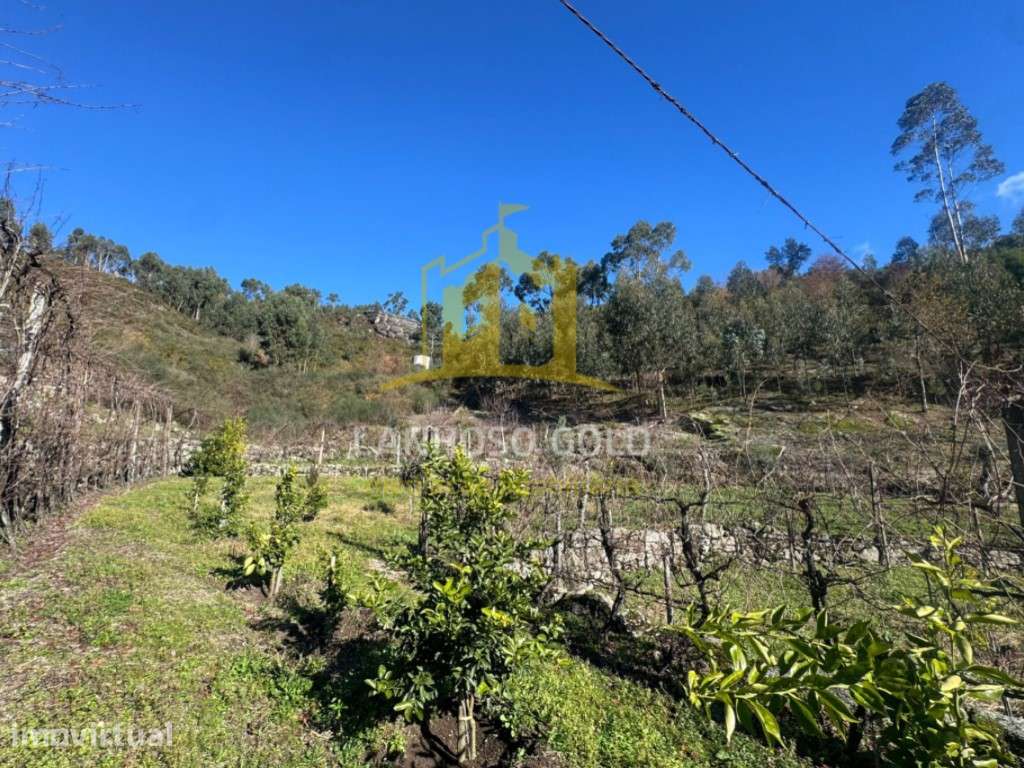 Terreno para Construção - Grande imagem: 4/6