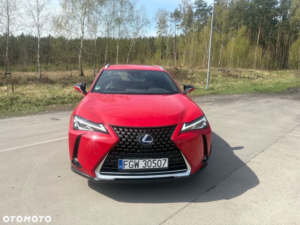 Lexus UX - 11
