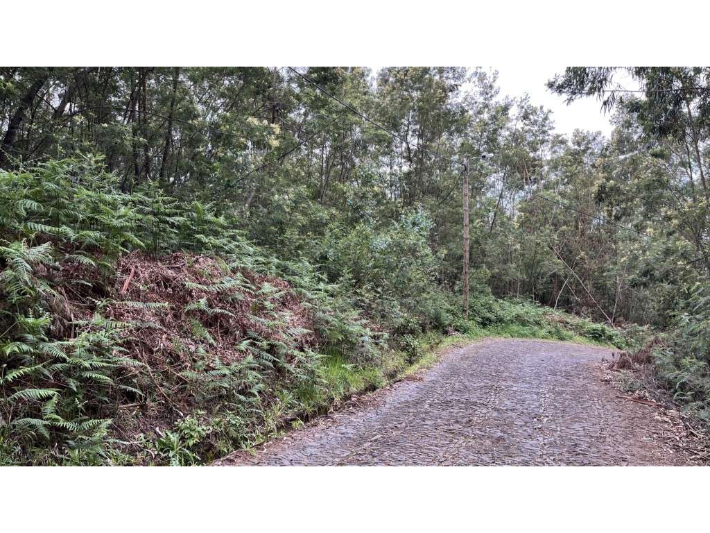 Lote do terreno no Funchal para agricultura - Grande imagem: 3/7