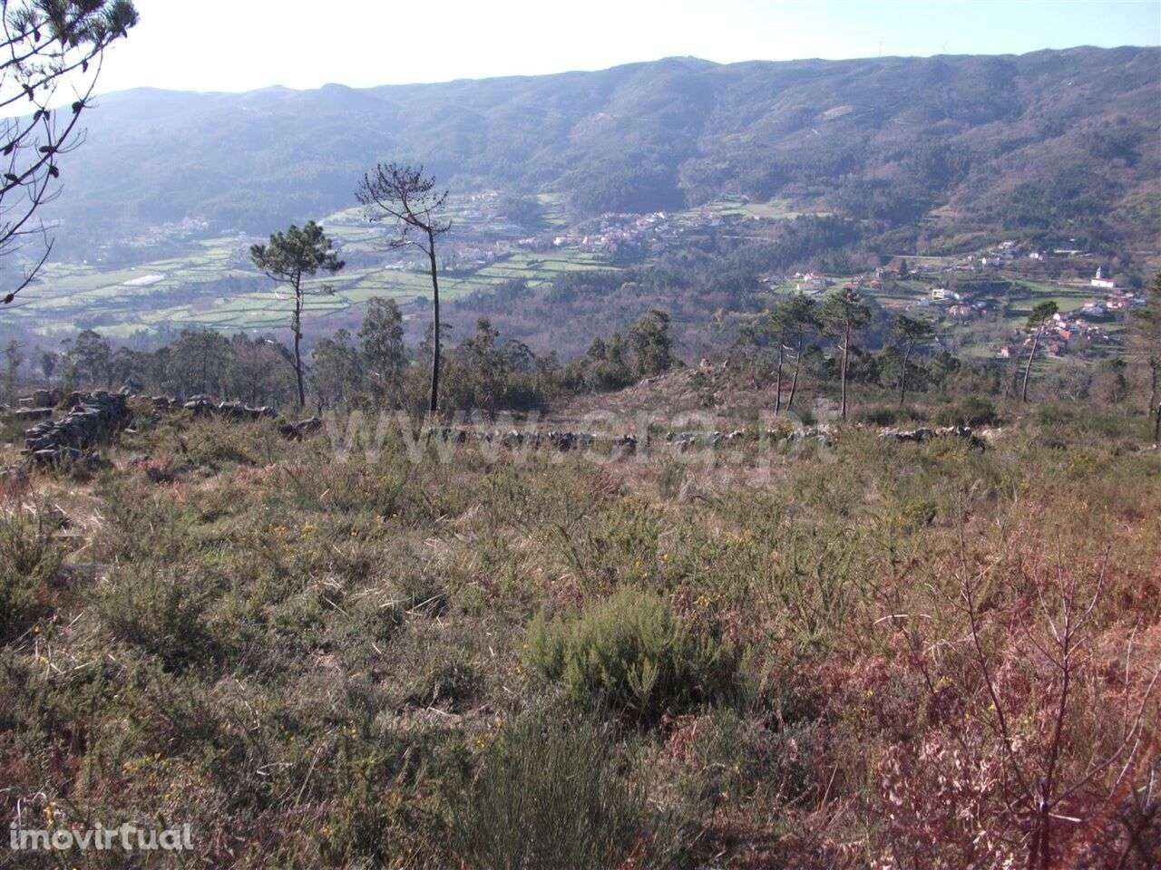Terreno / Baião, Campelo e Ovil - Grande imagem: 3/7