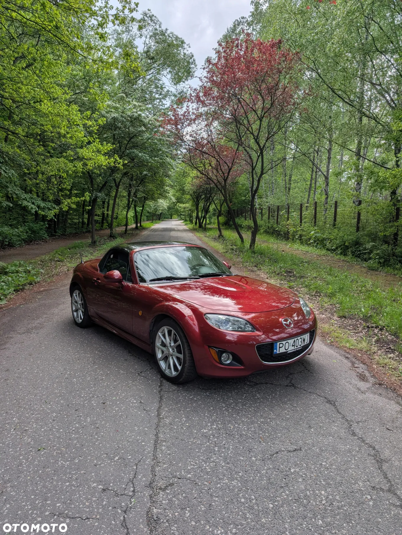 Mazda MX-5 - 2